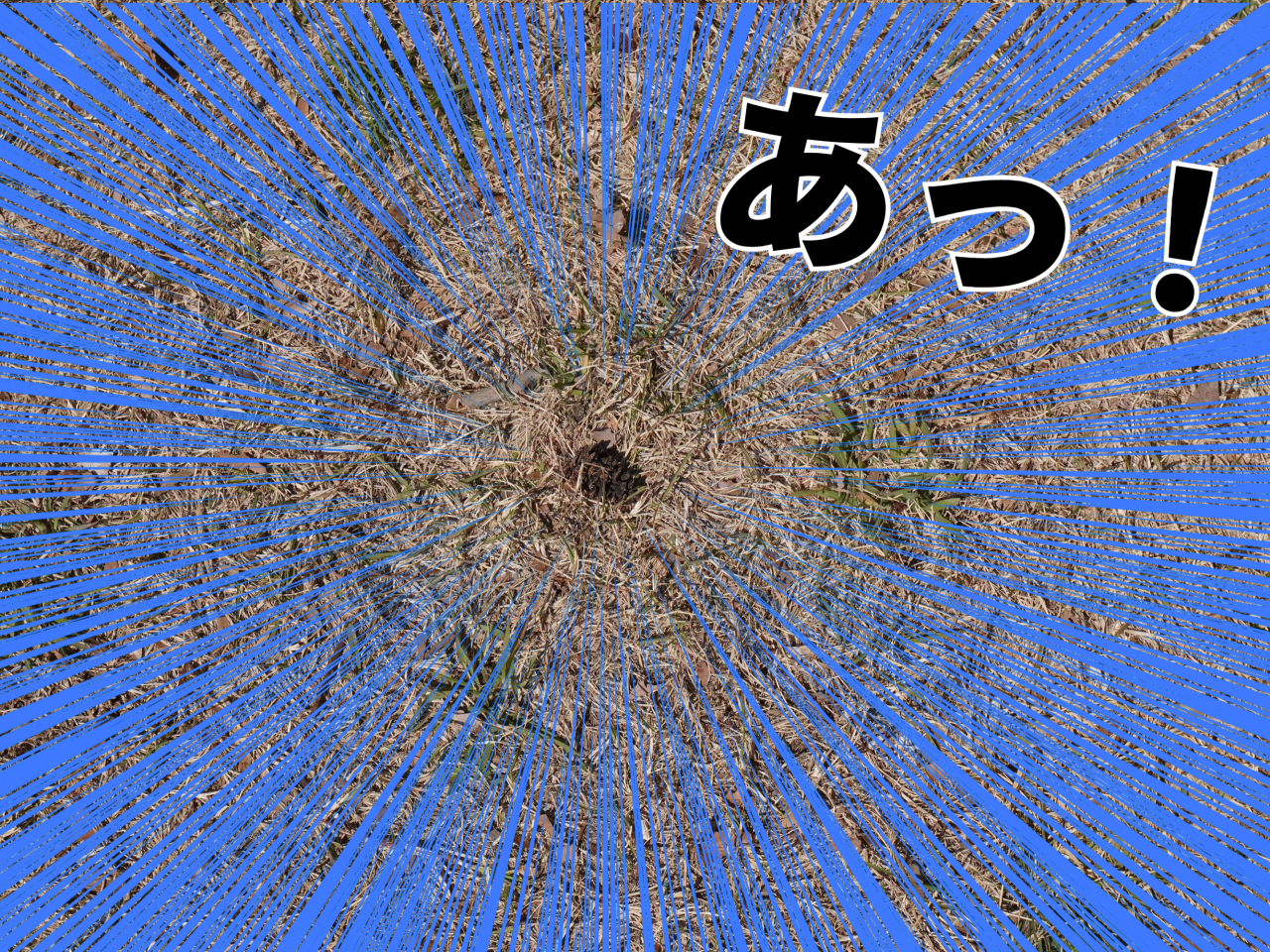 +12.png