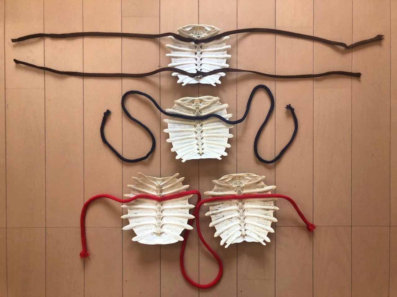 すっぽんの甲羅で鎧を作る　20.jpg
