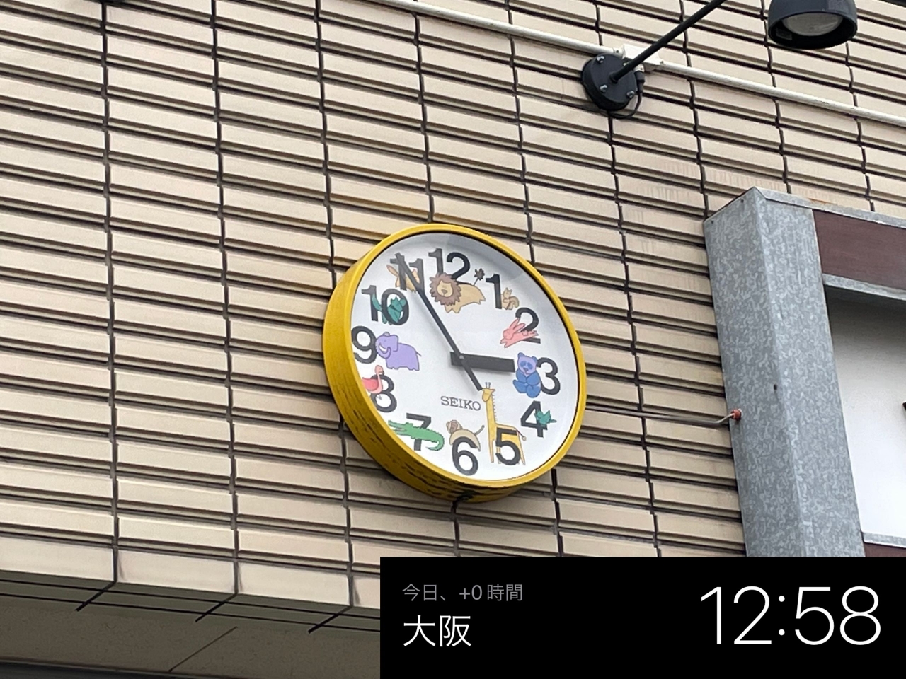 IMG_0505c.jpg