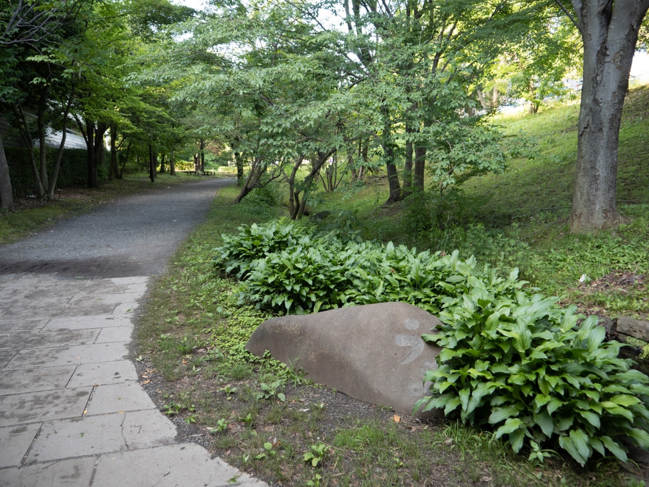 P1056887.jpg