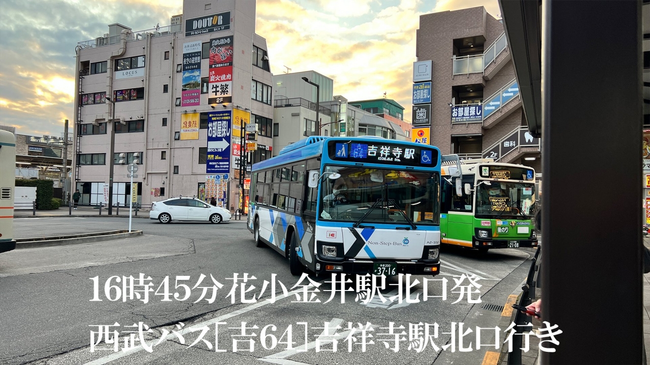43.jpg