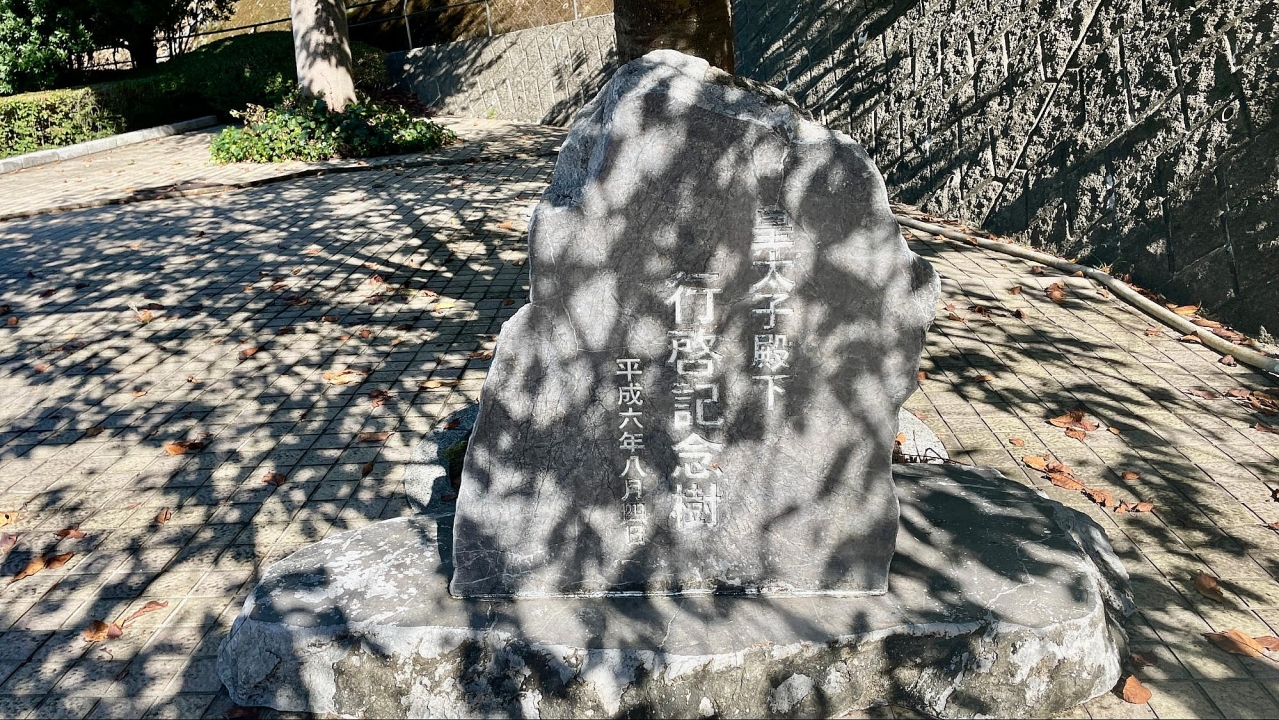 image1.jpg