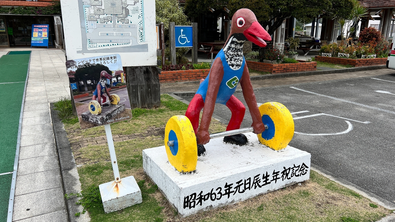 31.JPG