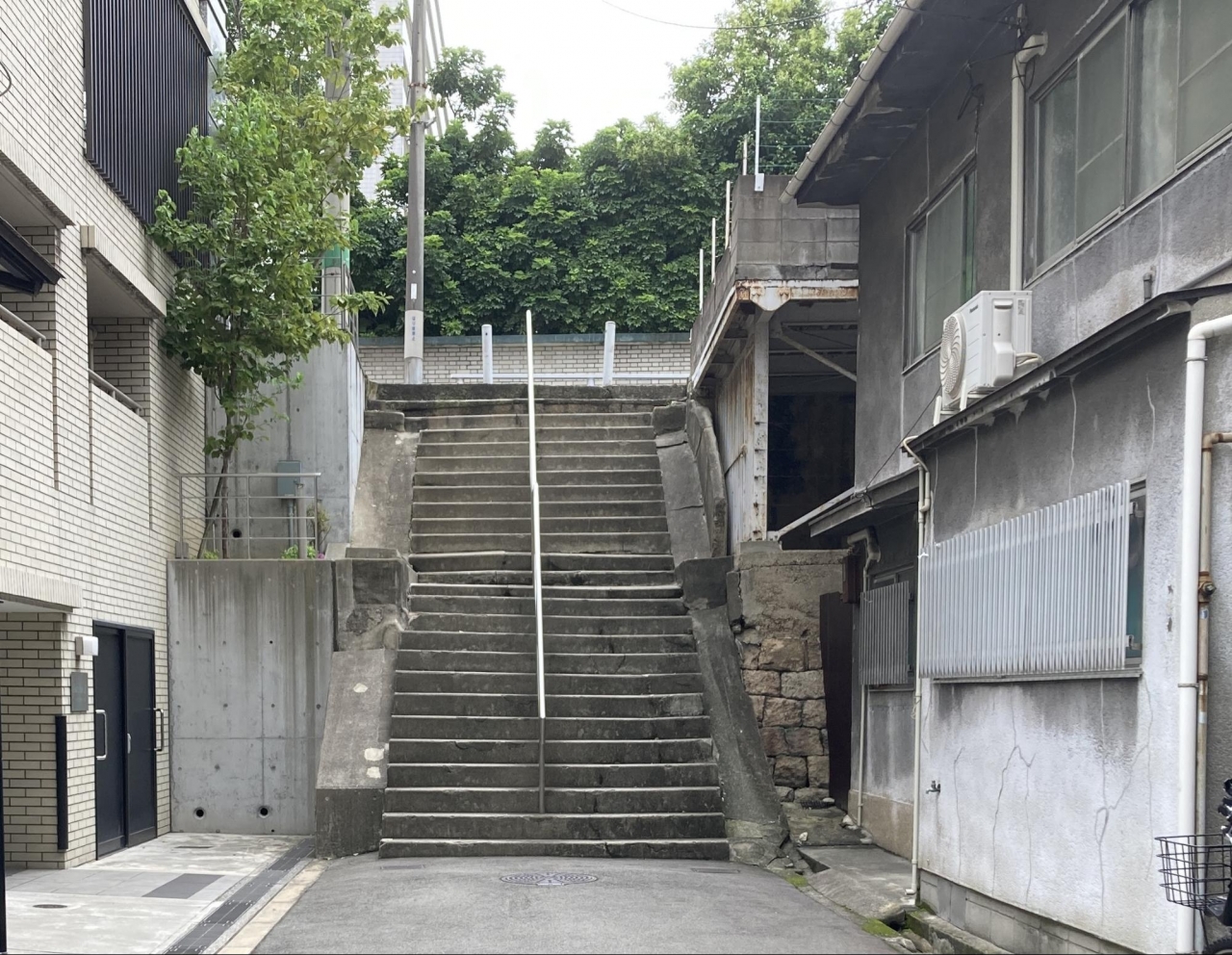 image8.jpg