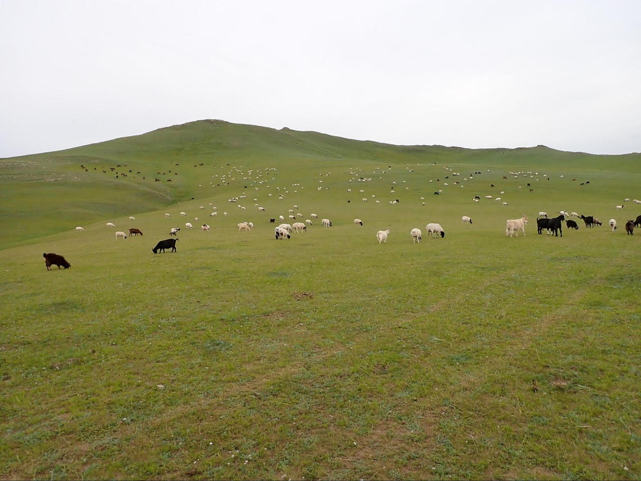 image15.jpg