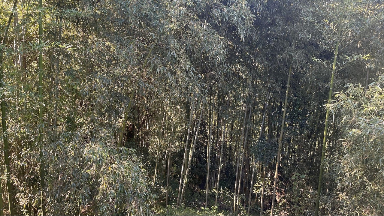 image34.jpg