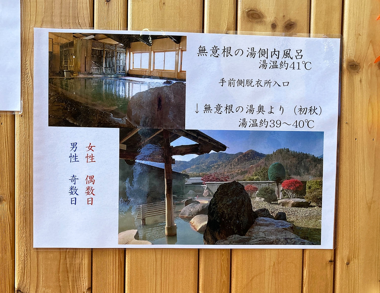 7.JPG