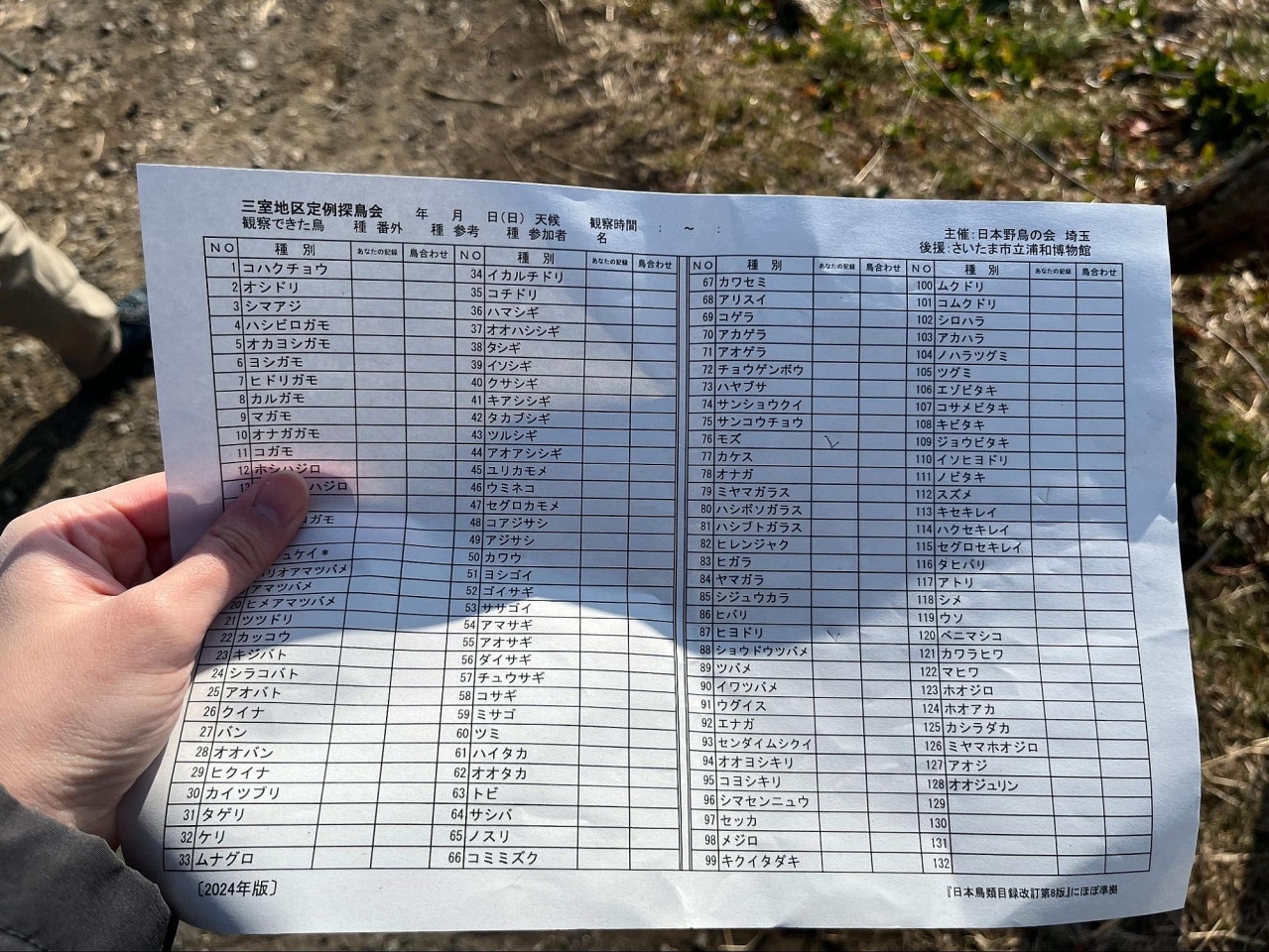 image_s035.jpg