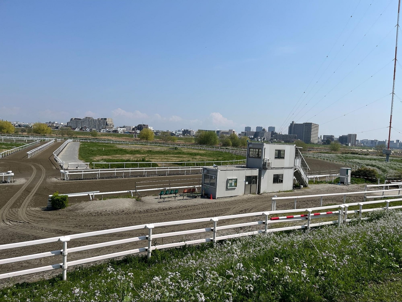 image_s021.jpg