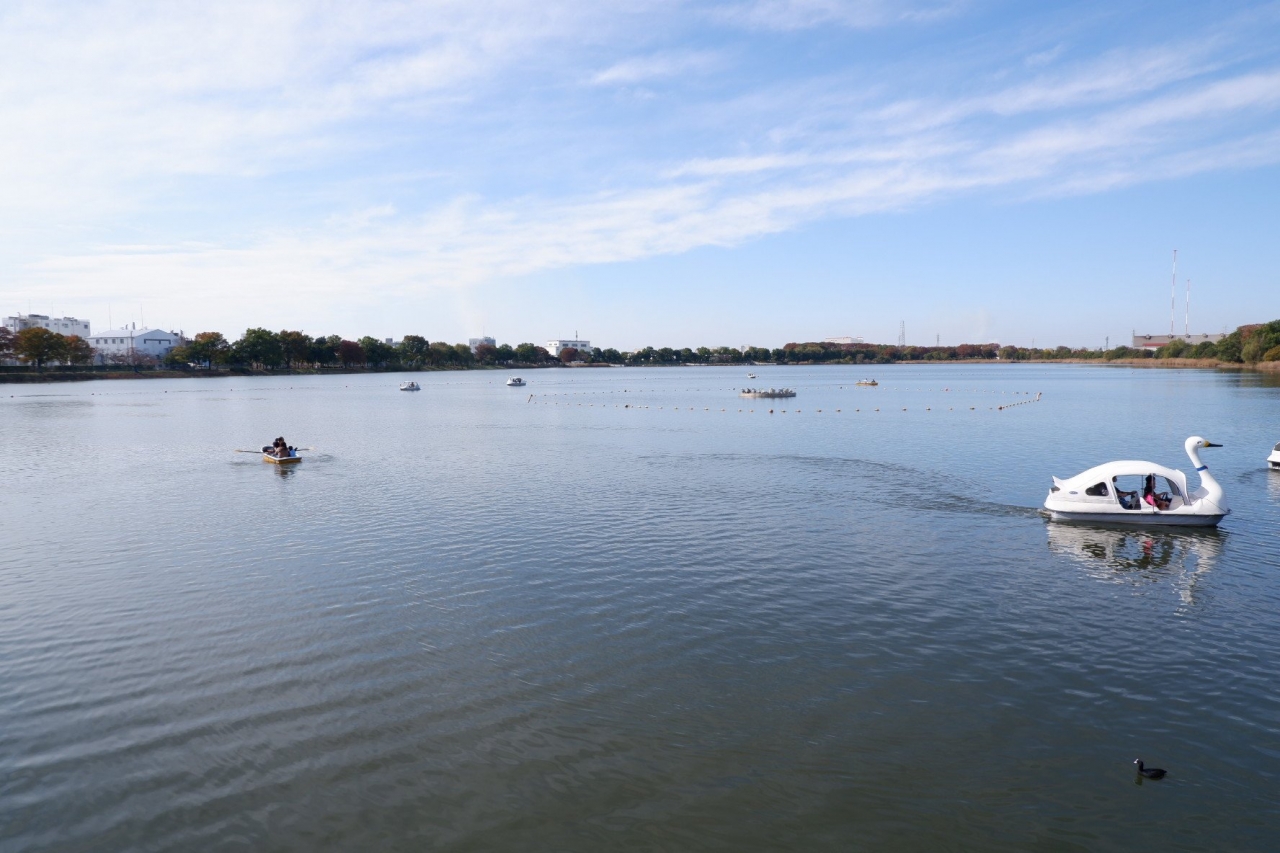 marsh_04.jpg