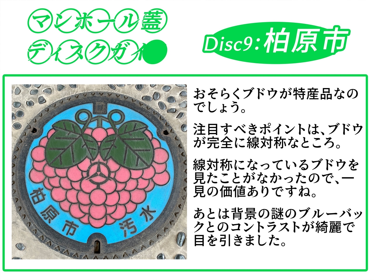 dg9xxx.jpg