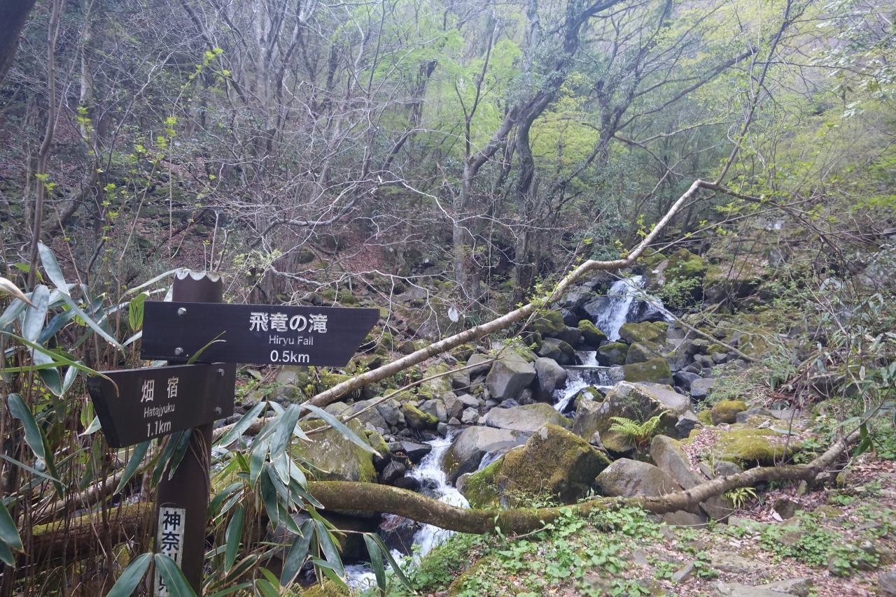 DSC02579.jpg