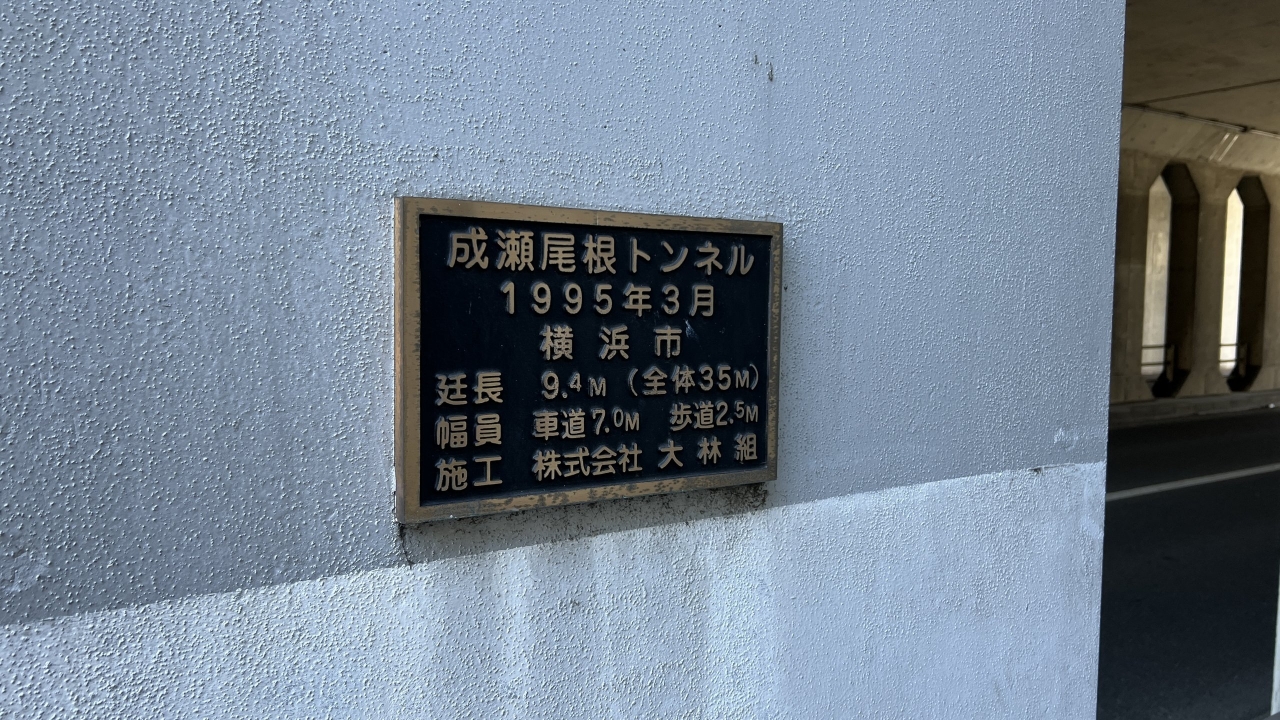 17.JPG