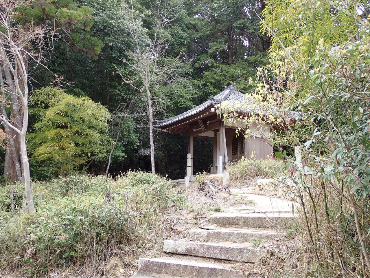 image14.jpg