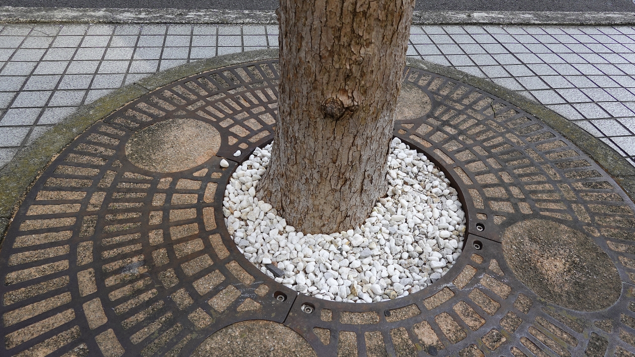 ishiishi_109.JPG