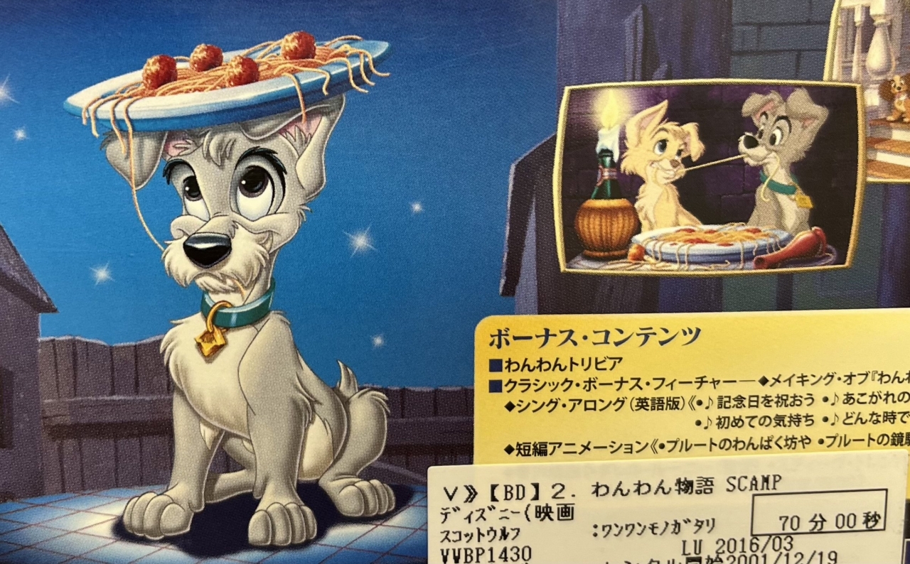 パッケージ裏２.jpg