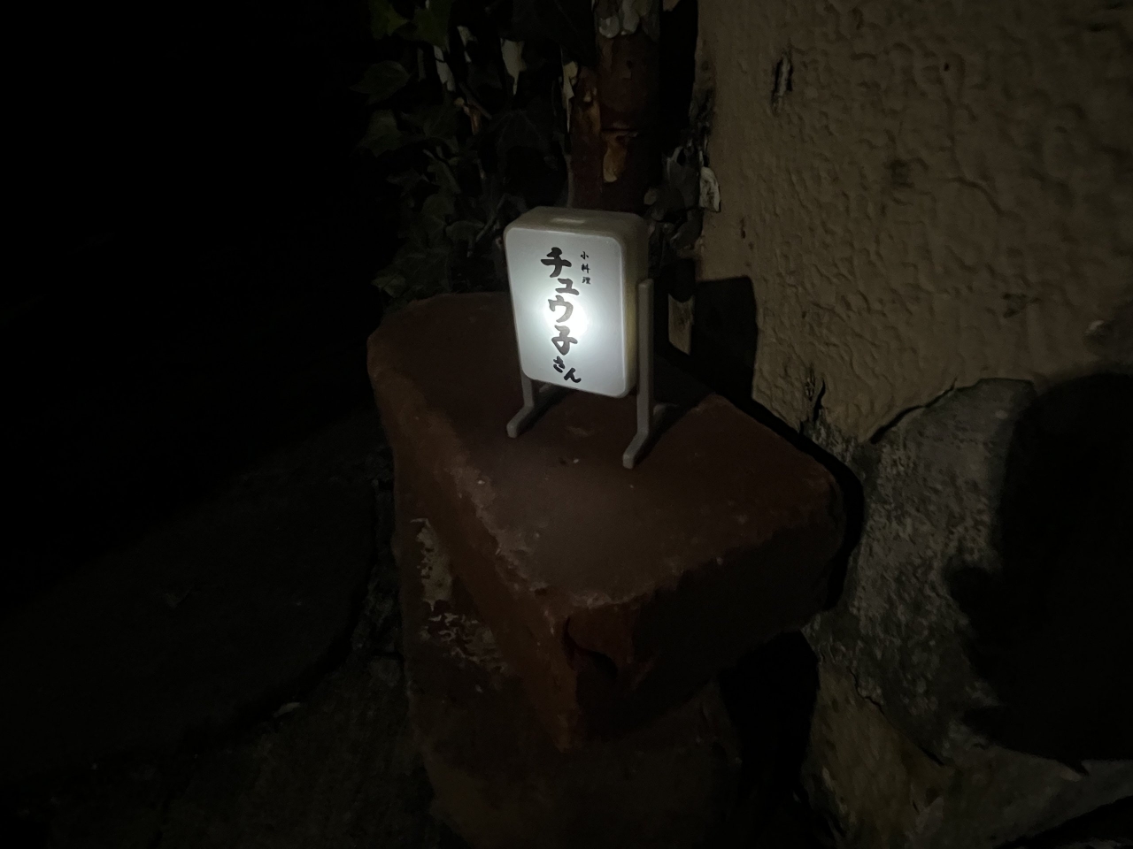 IMG_0724.jpeg