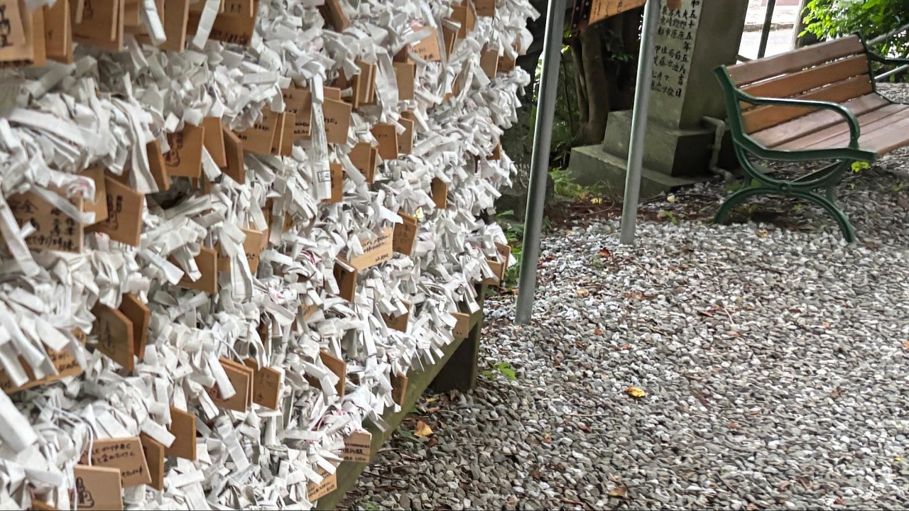 image26.jpg