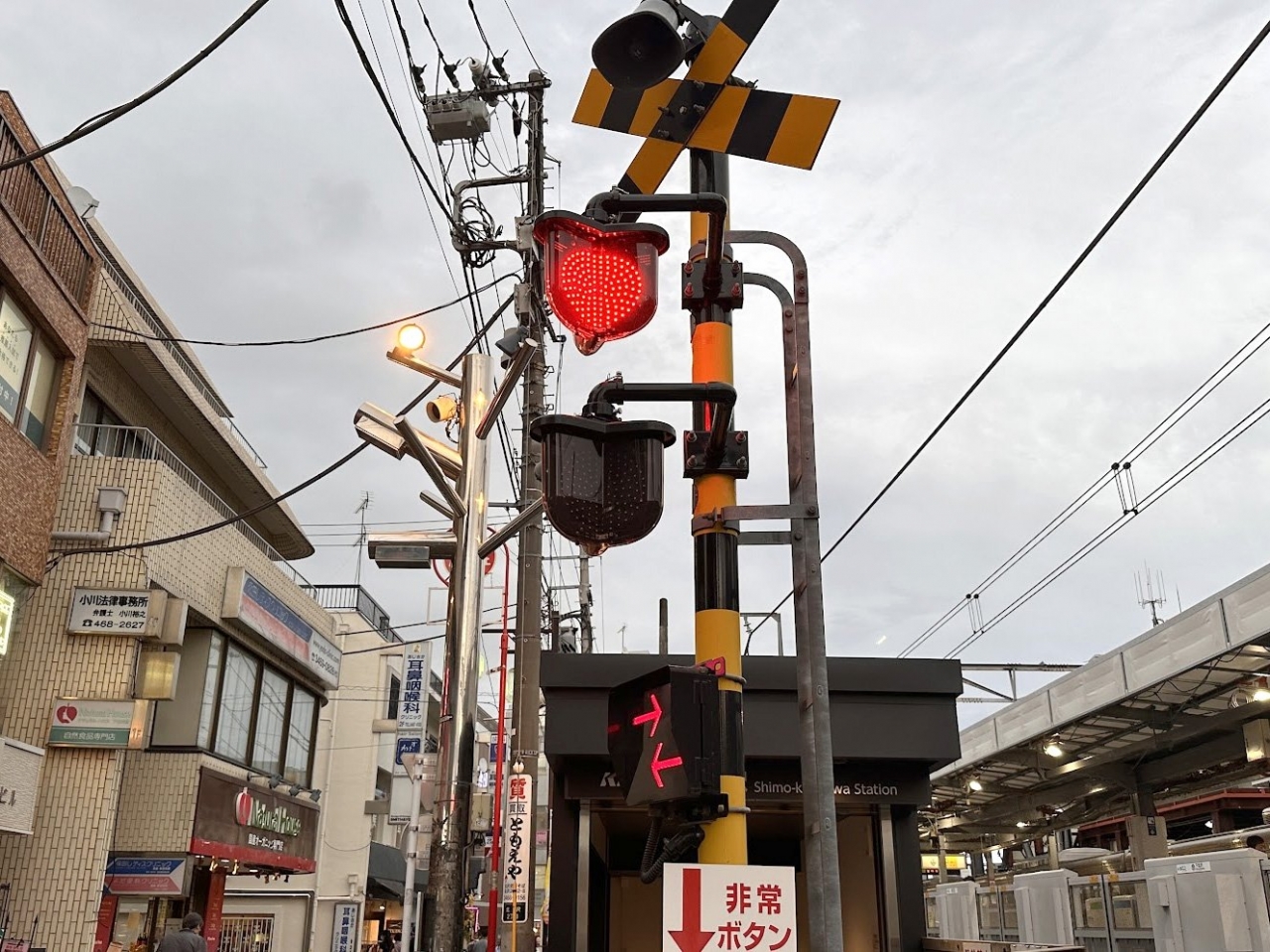 hayashi001.jpg