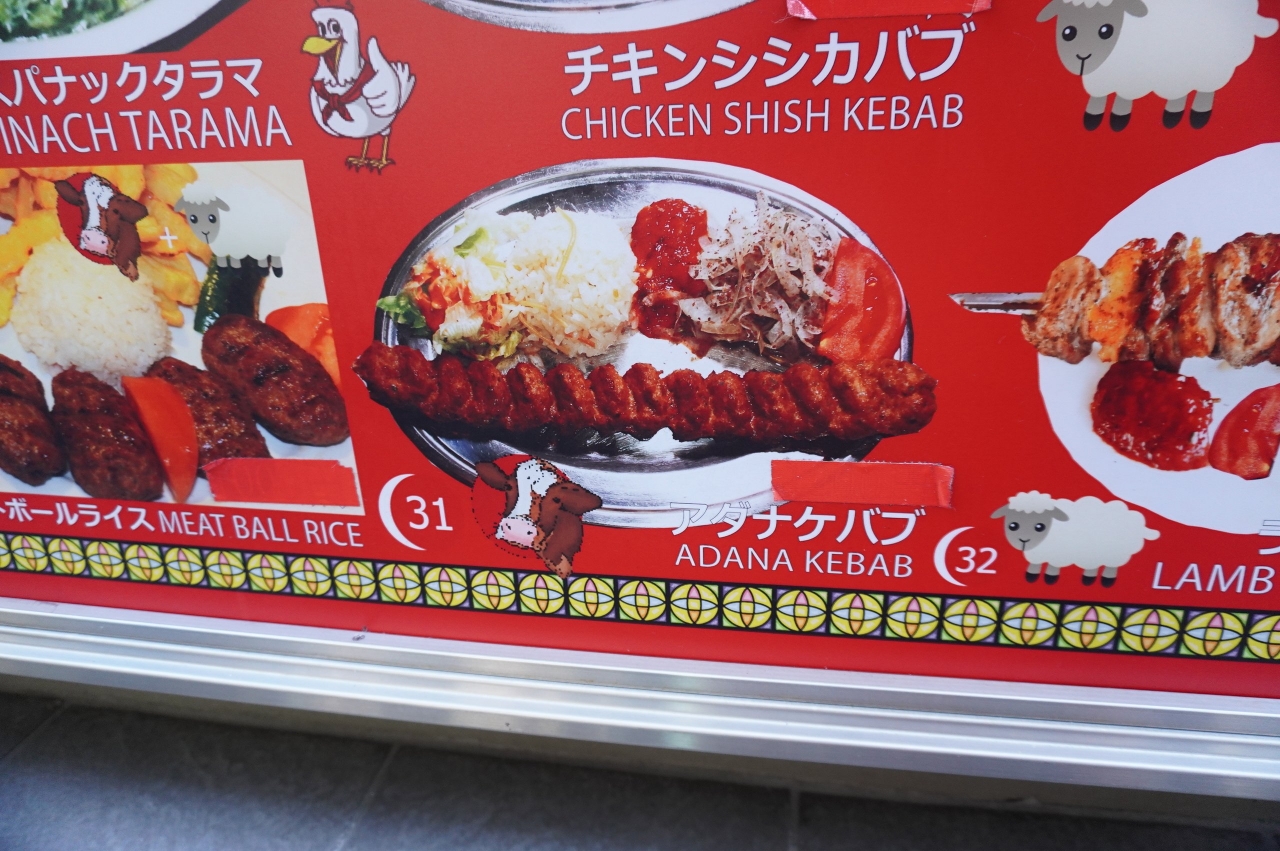 DSC08768.JPG