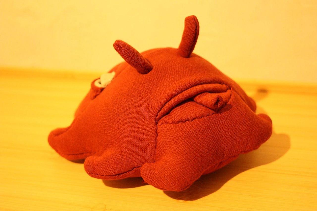 image28.jpg