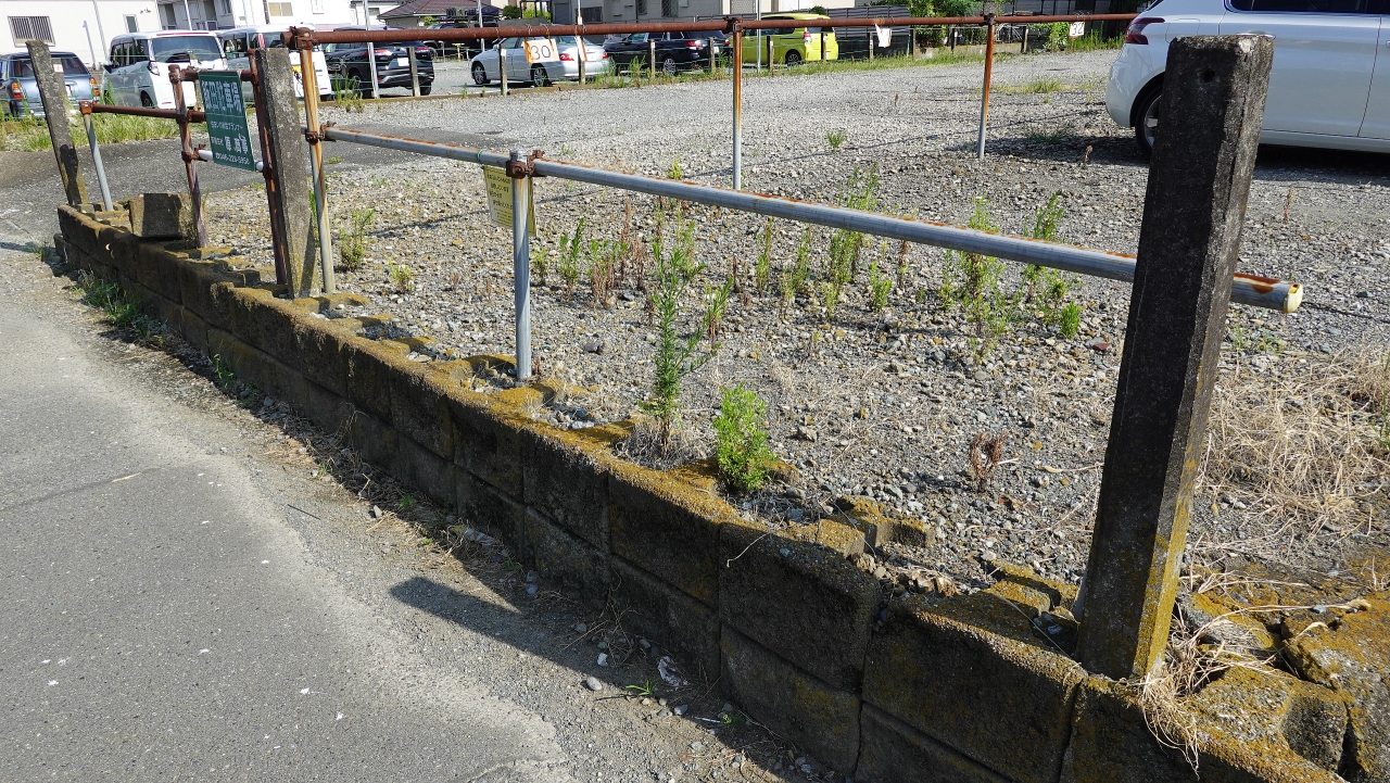 ishiishi_139.JPG