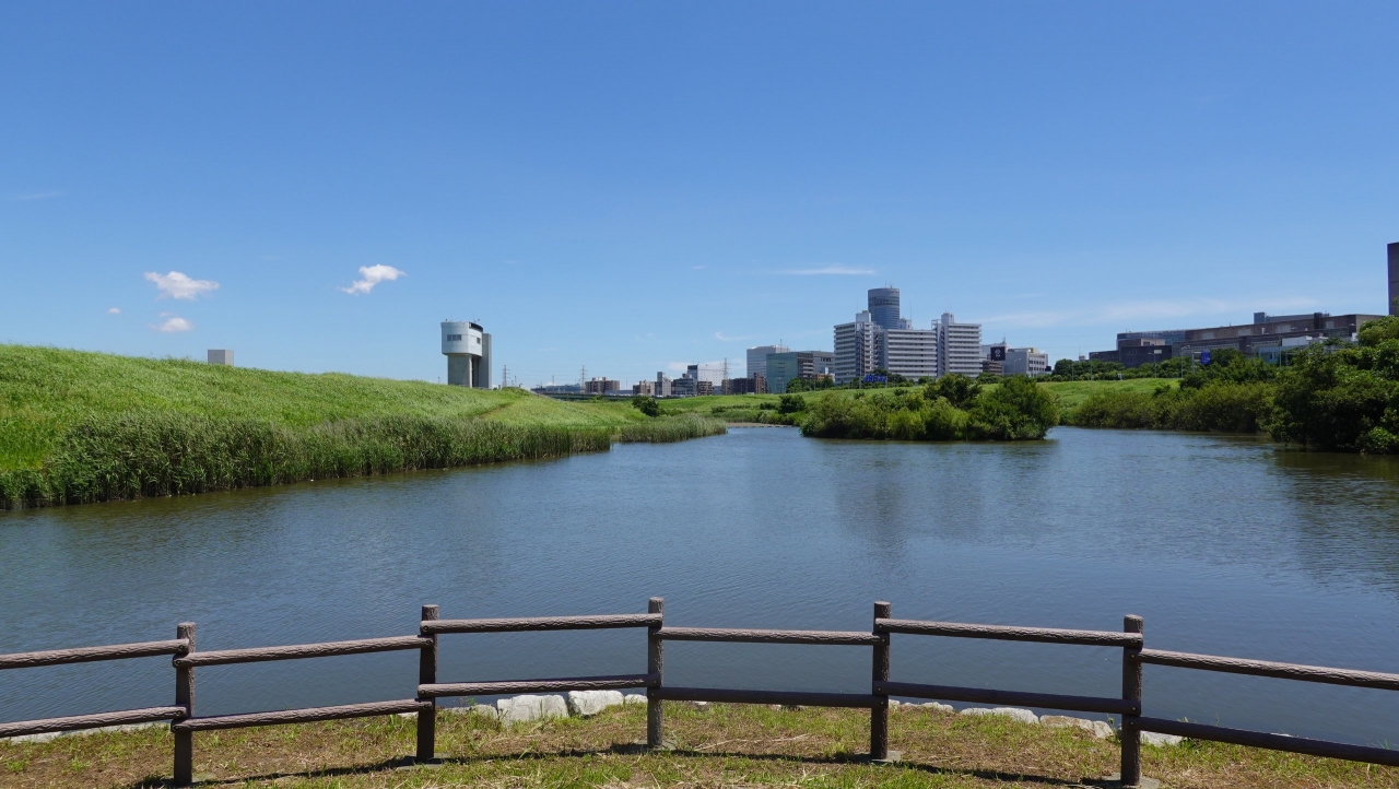 shinyoko_103.JPG