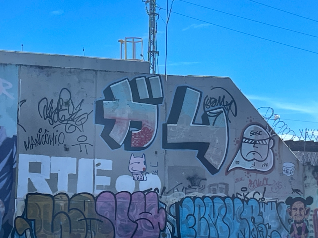 IMG_5387.jpeg
