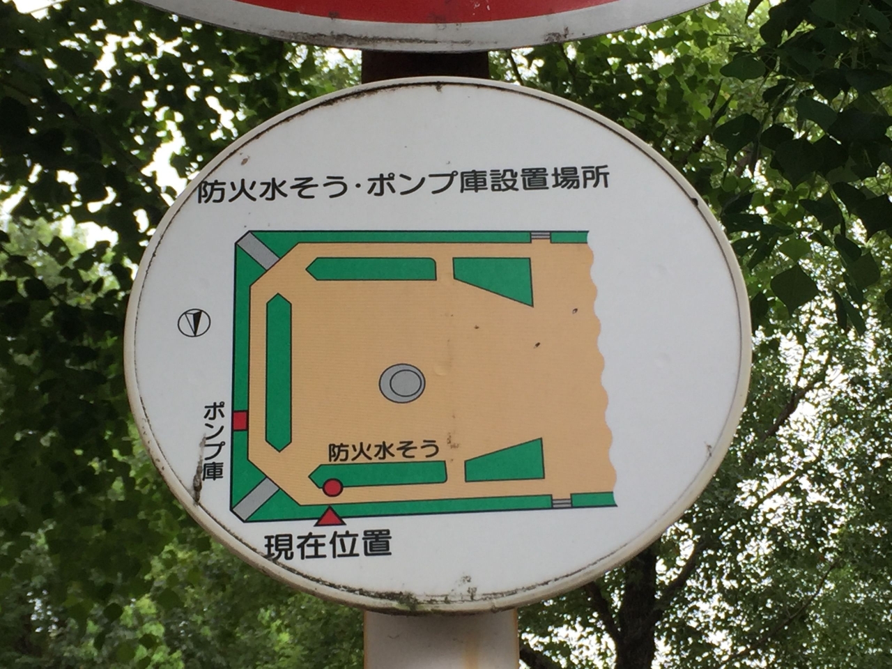 30.jpg