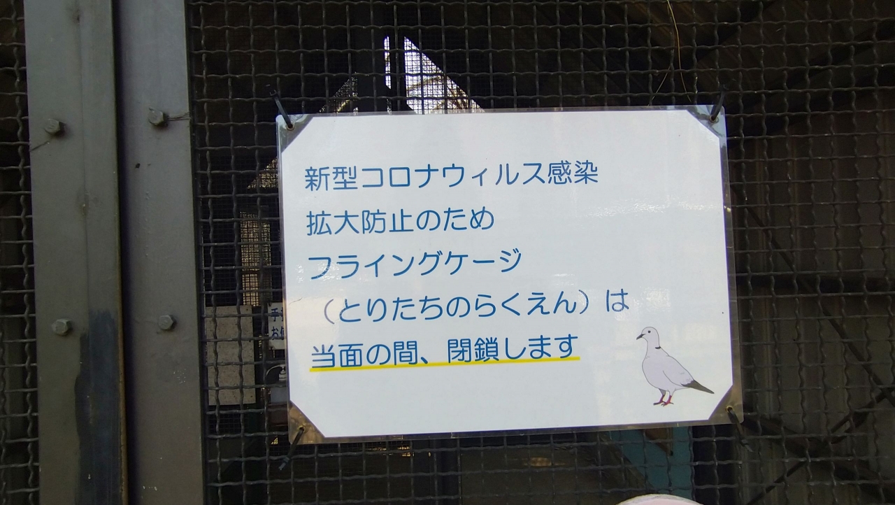 013_フライングケージ立ち入り禁止.JPG