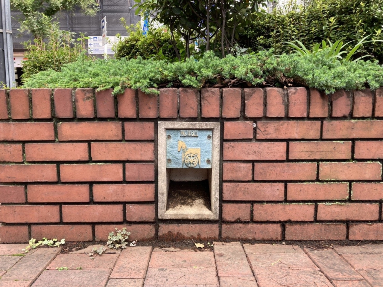 S__6791260.jpg