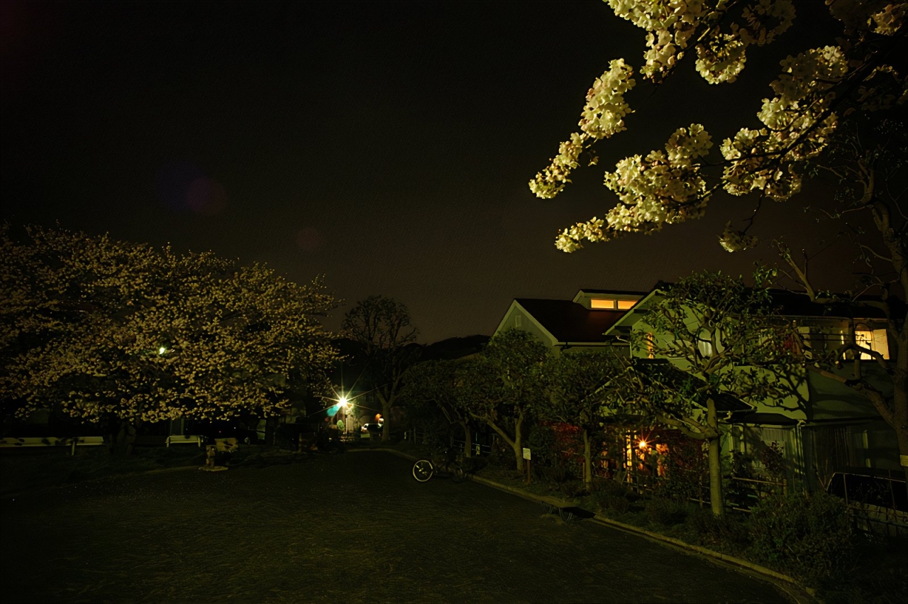 17_photos_v2_x2.jpg