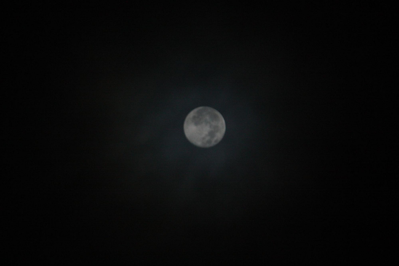 image8.jpg