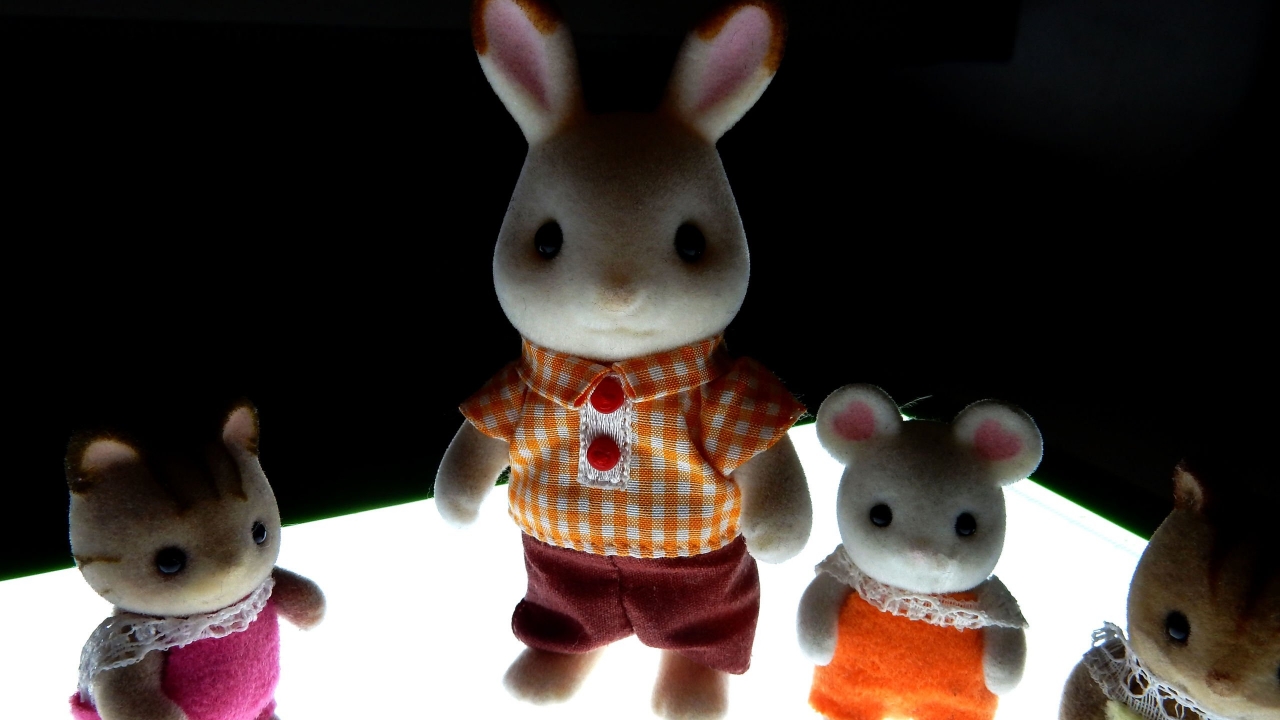 DSCN9813.jpg
