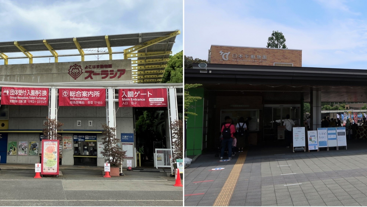 ヒョウ柄_2.jpg