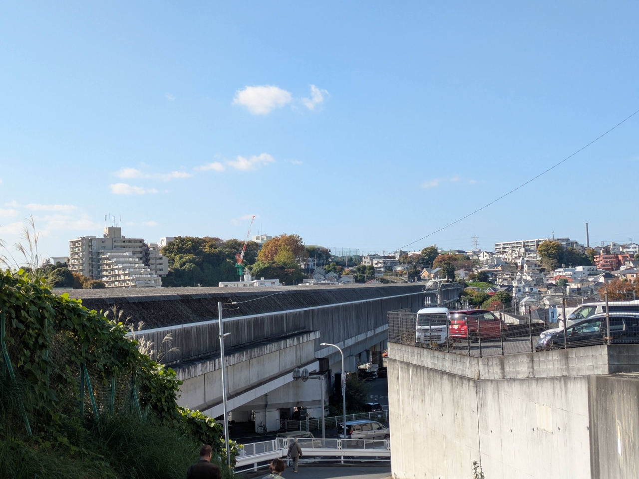 20251206-3.jpg