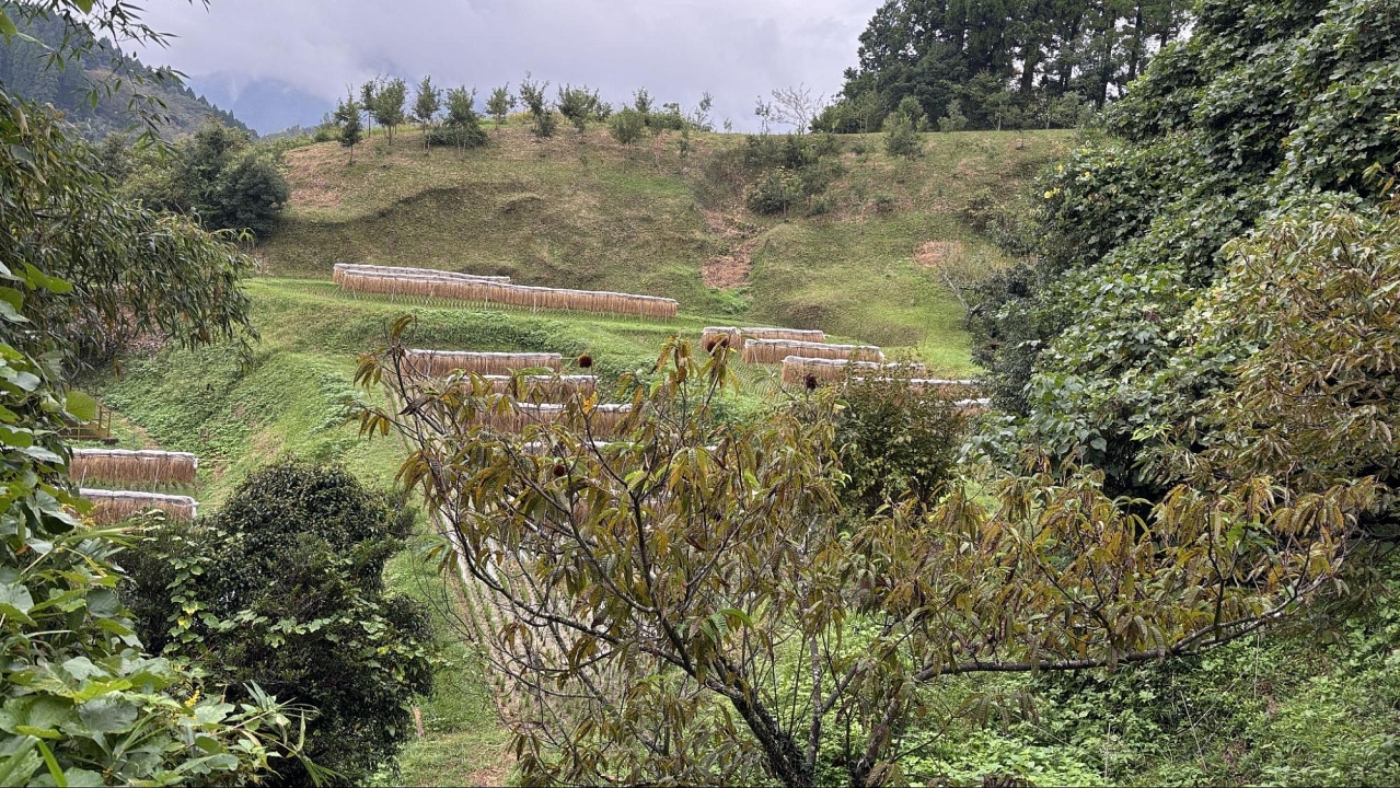 image2.jpg