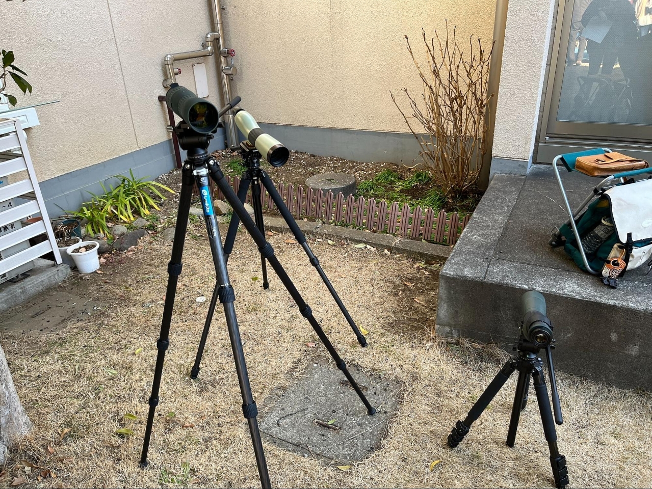 image_s004.jpg