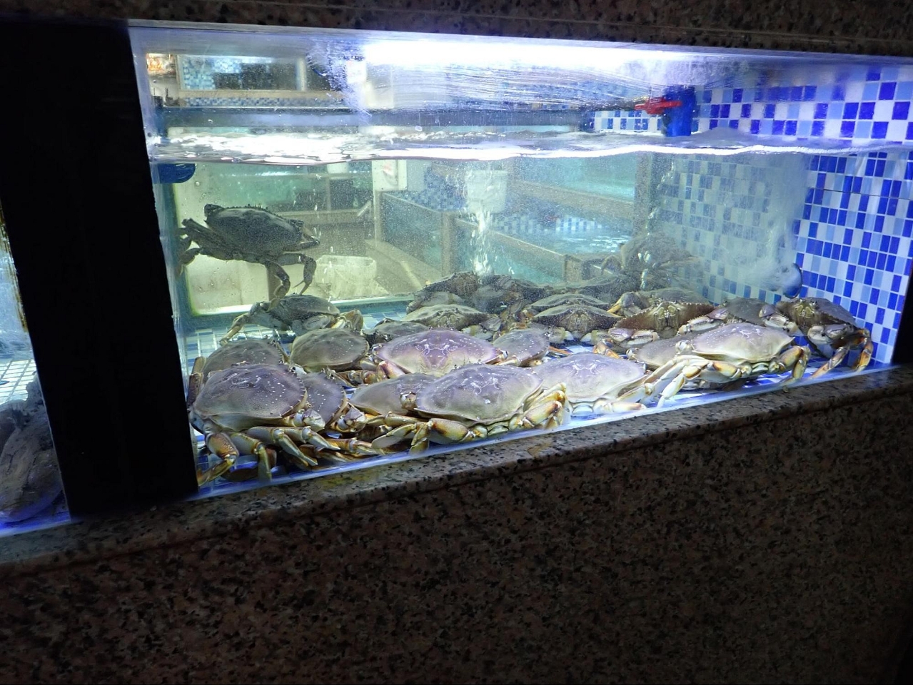 image_s003.jpg