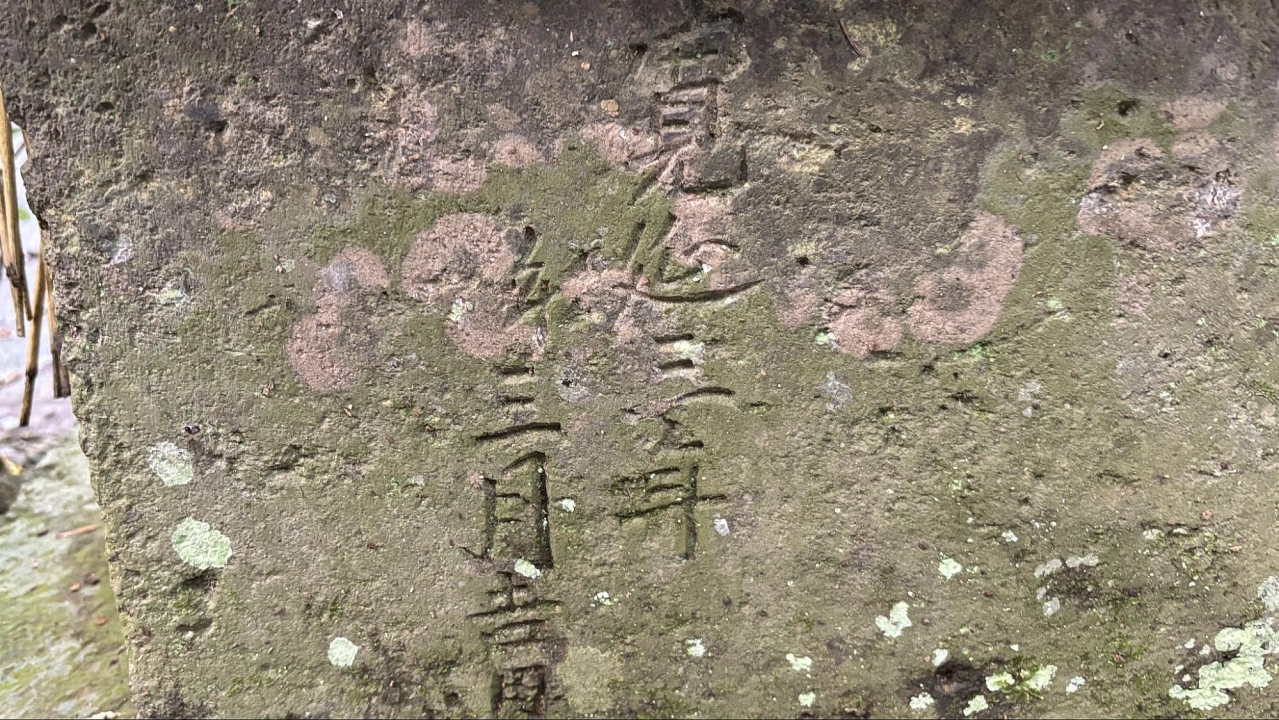 image26.jpg