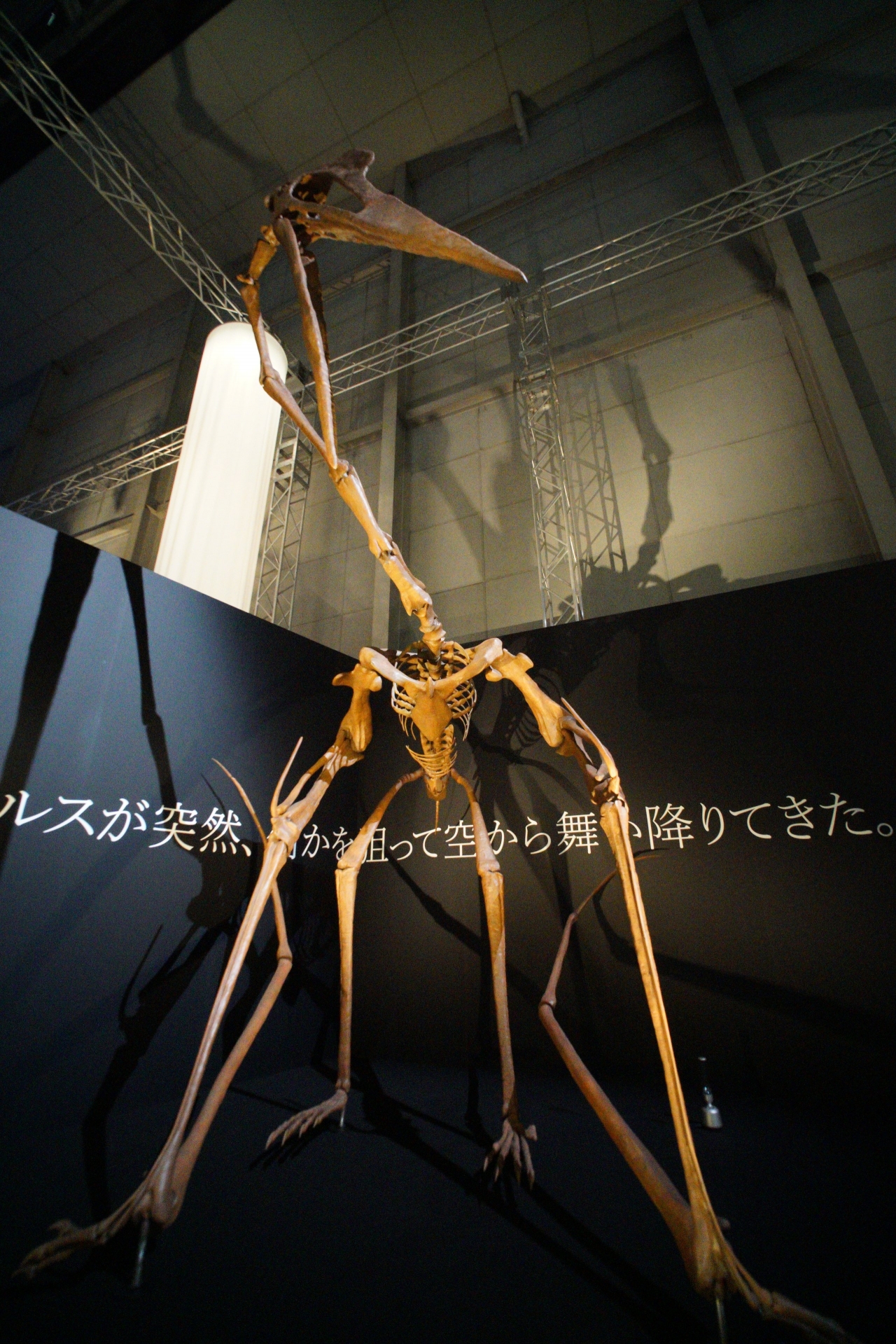 DSC09361.JPG