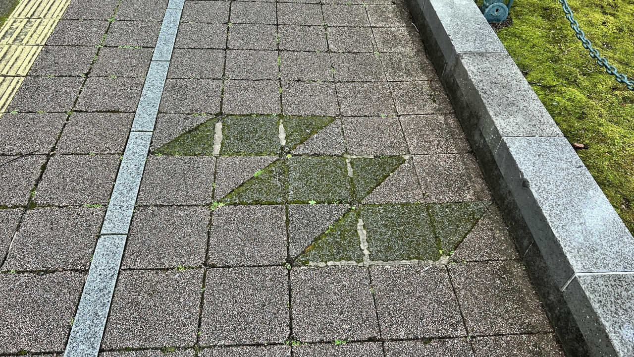 04_IMG_4907.JPG