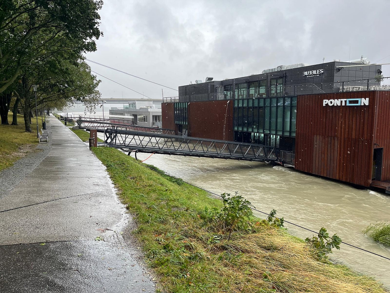 ponton.jpeg