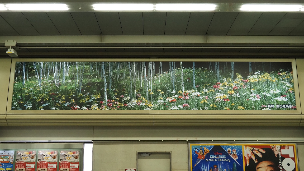 大阪エリア_梅田駅_01.jpg