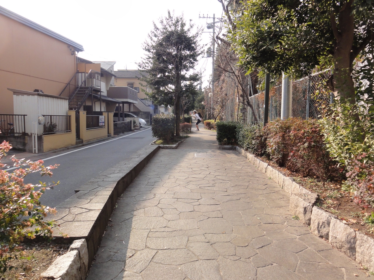 DSC07215_.jpg