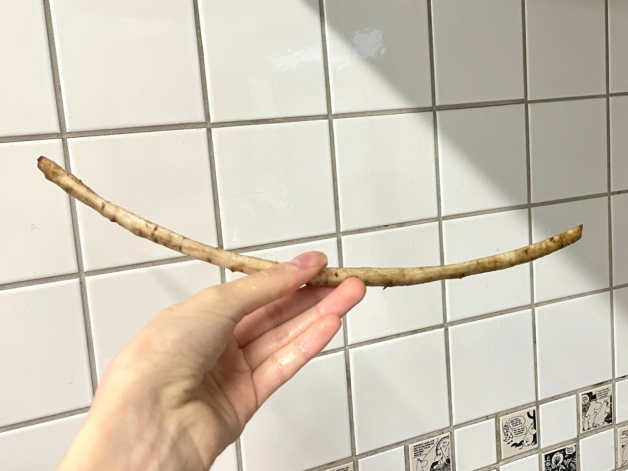 阮・・繧・14.jpeg
