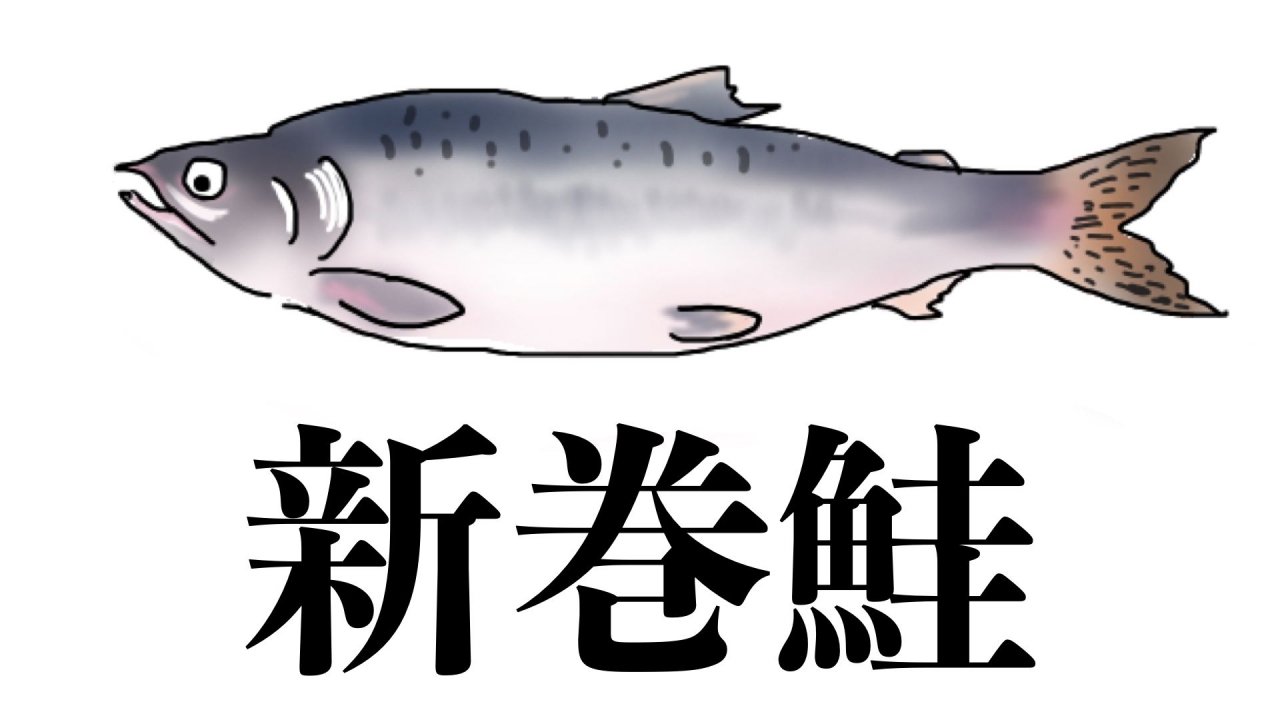 憧れのお歳暮「新巻鮭」をまるっと食べ尽くす会が最高だった
