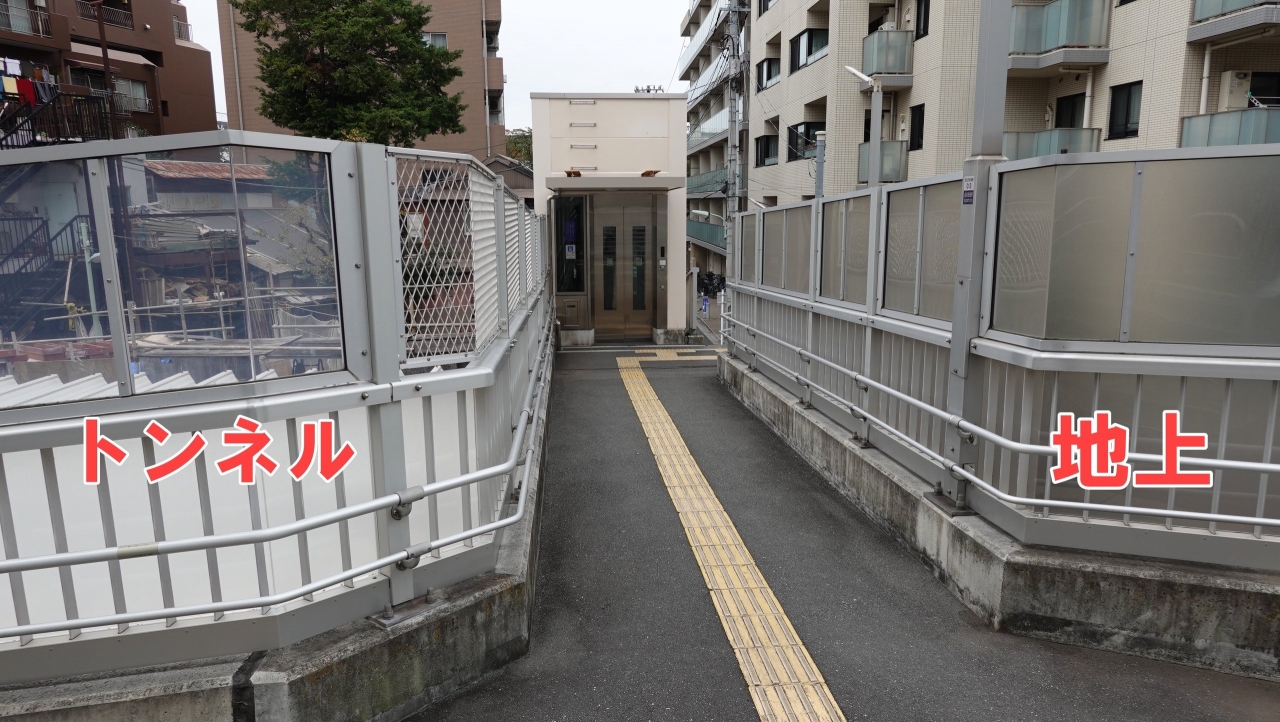 DSC08296.JPG
