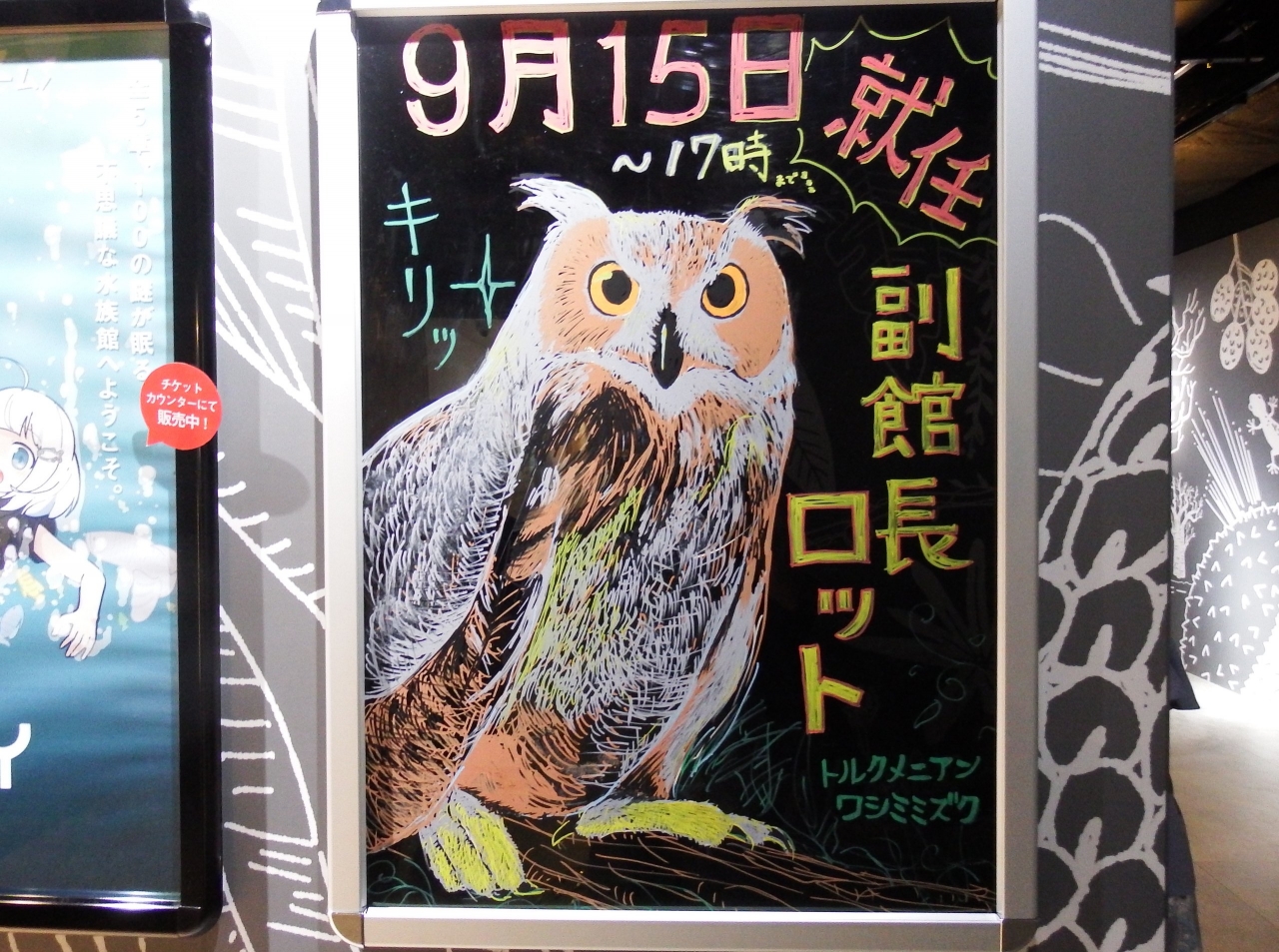 「9月15日就任副館長ロット（トルクメニアンワシミミズク）」という案内板
