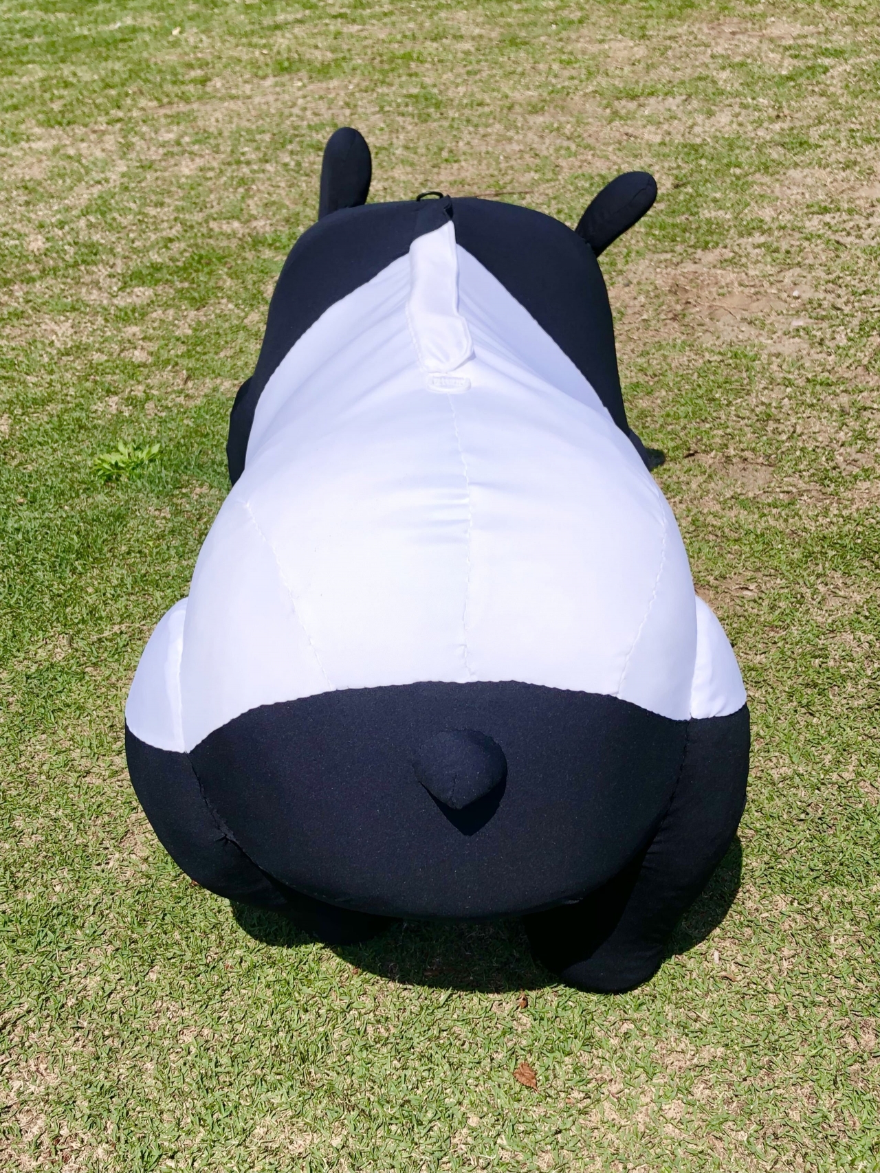 おしり.jpg